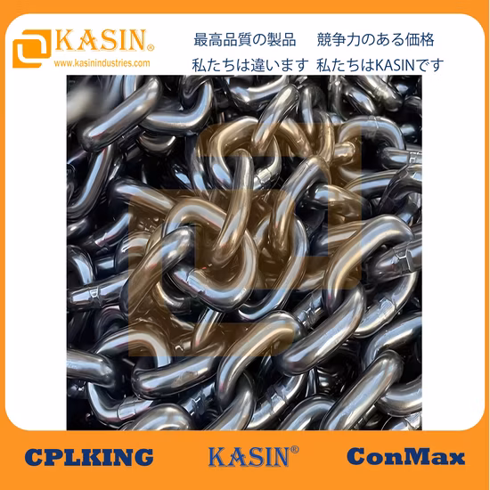 Nietenlose, gesenkgeschmiedete X458-Förderkette für das Lackierstraßensystem